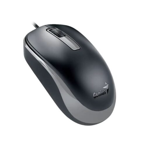 Mouse Genius DX-125S Negro/Gris