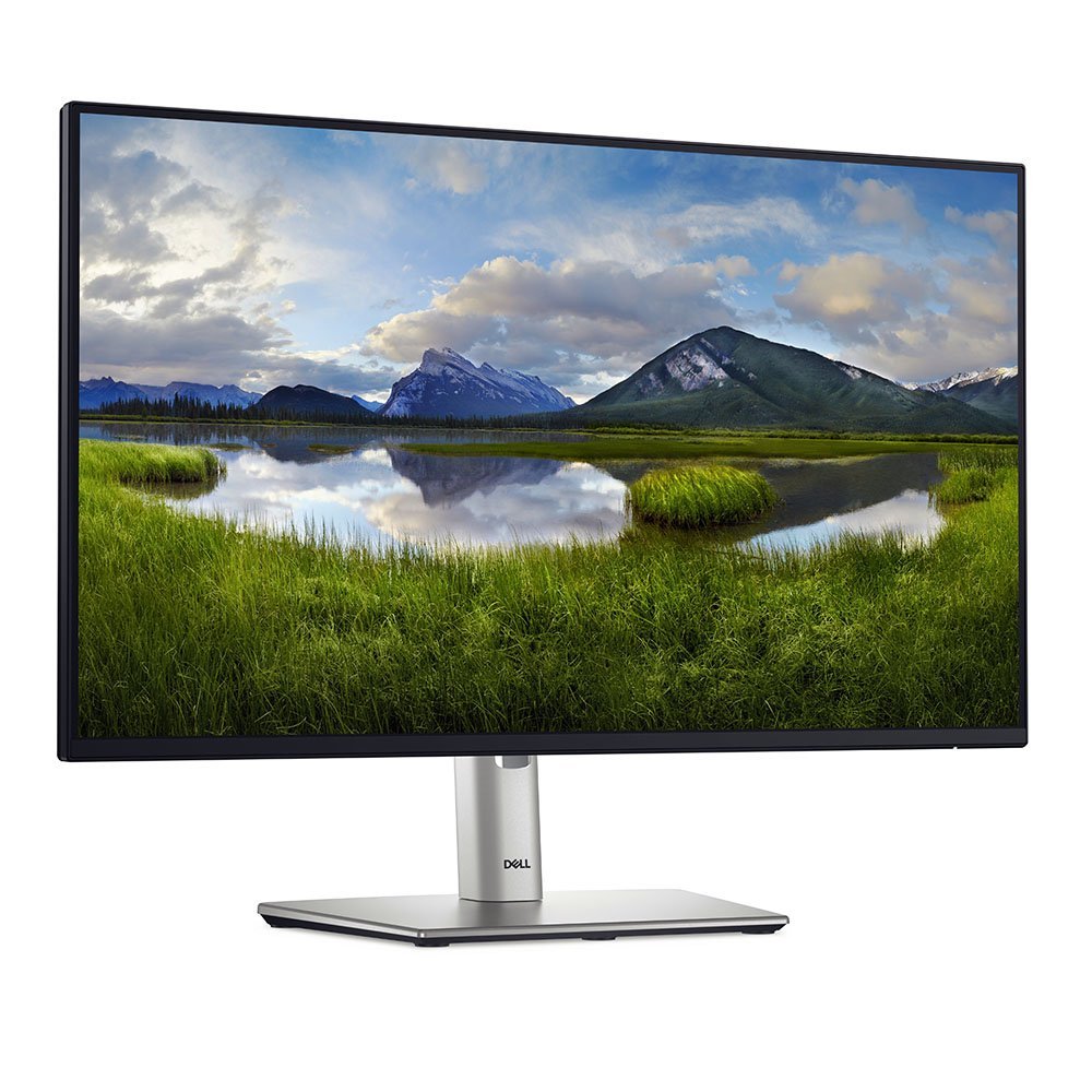 Monitor Dell 23.8" P2425H IPS FHD 100Hz