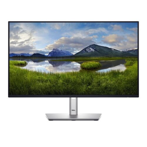 Monitor Dell 23.8" P2425H IPS FHD 100Hz